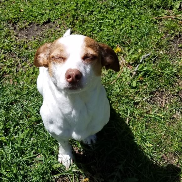 Meet your Posher, Dana - Picture 1 of 1